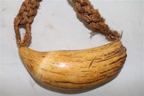 An antique Polynesian whales tooth Tabua necklace